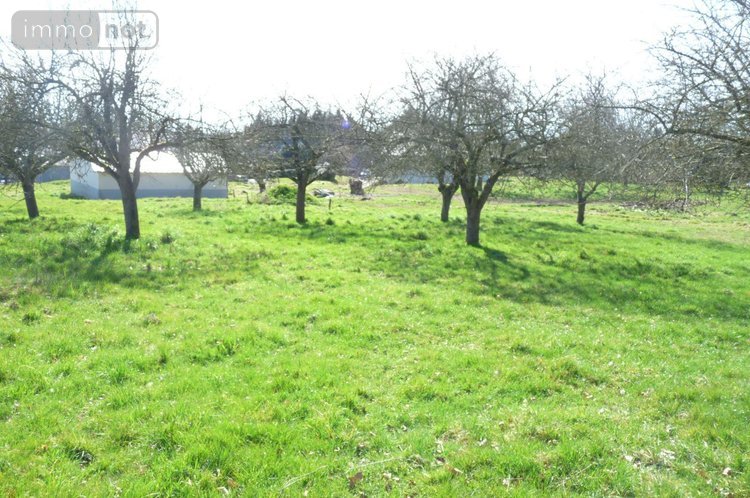 Maison a vendre Ambrières-les-Vallées 53300 Mayenne 94 m2 4 pièces 166400 euros