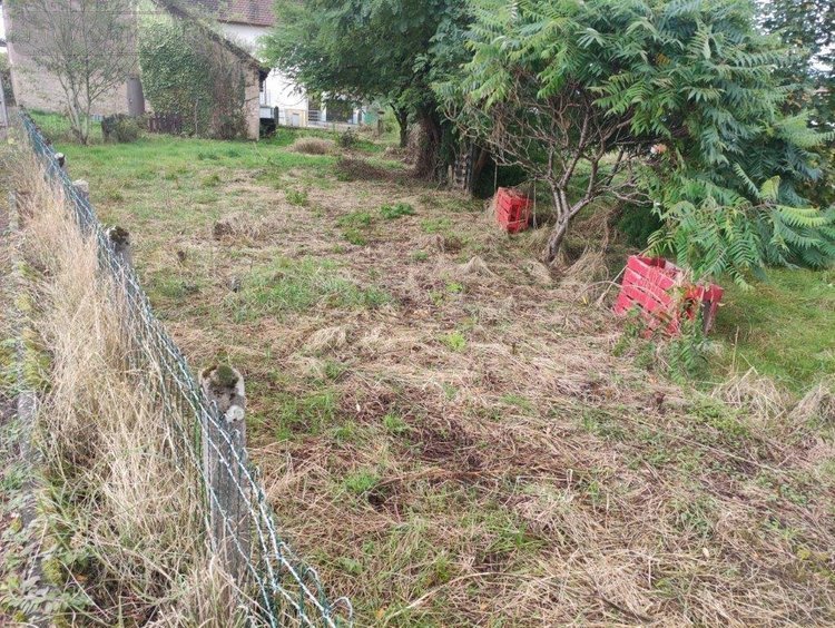 Maison a vendre Froideconche 70300 Haute-Saône 59 m2 3 pièces 33600 euros