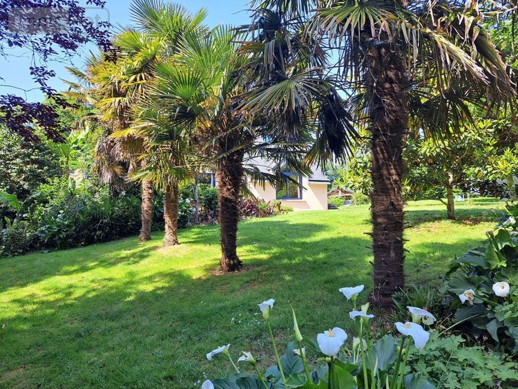 Maison a vendre Rédené 29300 Finistère 150 m2  353260 euros
