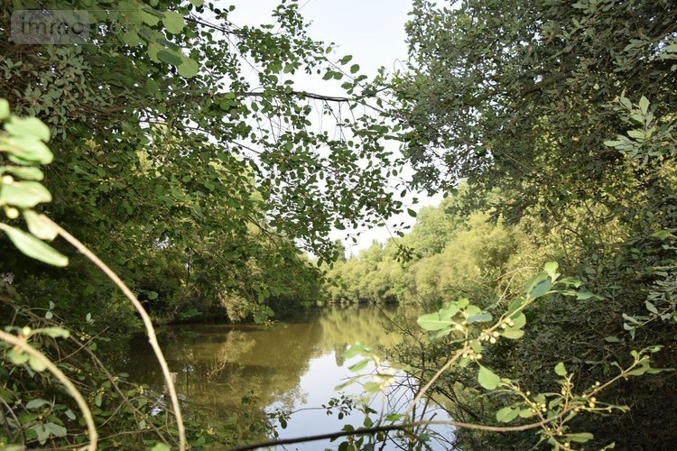 Terrains de loisirs bois etangs a vendre Martigné-sur-Mayenne 53470 Mayenne 16537 m2  95000 euros