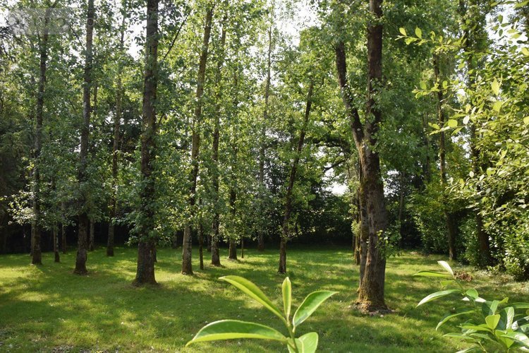 Terrains de loisirs bois etangs a vendre Martigné-sur-Mayenne 53470 Mayenne 16537 m2  105000 euros