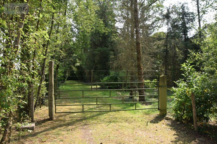 Terrains de loisirs bois etangs a vendre Martigné-sur-Mayenne 53470 Mayenne 16537 m2  105000 euros