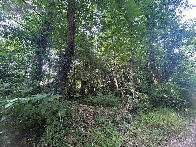 Maison a vendre Mouliherne 49390 Maine-et-Loire 250 m2 11 pièces 376200 euros