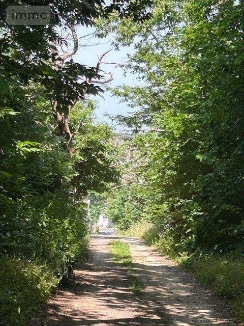 Maison a vendre Mouliherne 49390 Maine-et-Loire 250 m2 11 pièces 376200 euros