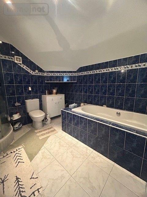 Maison a vendre Mouliherne 49390 Maine-et-Loire 250 m2 11 pièces 376200 euros