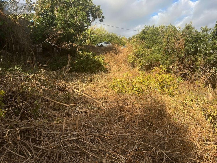 Terrain a batir a vendre Saint-Leu 97436 Réunion 1000 m2  397000 euros