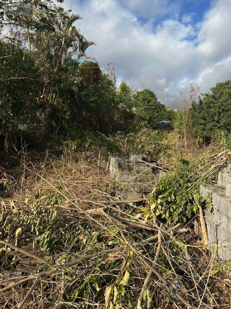 Terrain a batir a vendre Saint-Leu 97436 Réunion 1000 m2  397000 euros