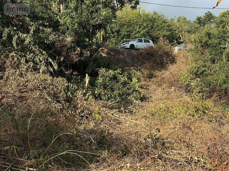 Terrain a batir a vendre Saint-Leu 97436 Réunion 1000 m2  397000 euros