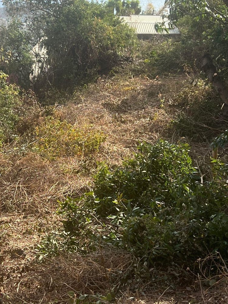 Terrain a batir a vendre Saint-Leu 97436 Réunion 1000 m2  397000 euros