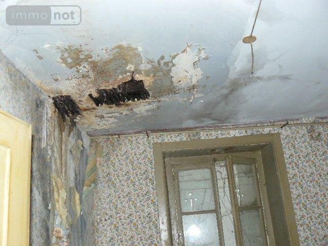 Immeuble a vendre La Vôge les Bains 88240 Vosges 480 m2  18000 euros