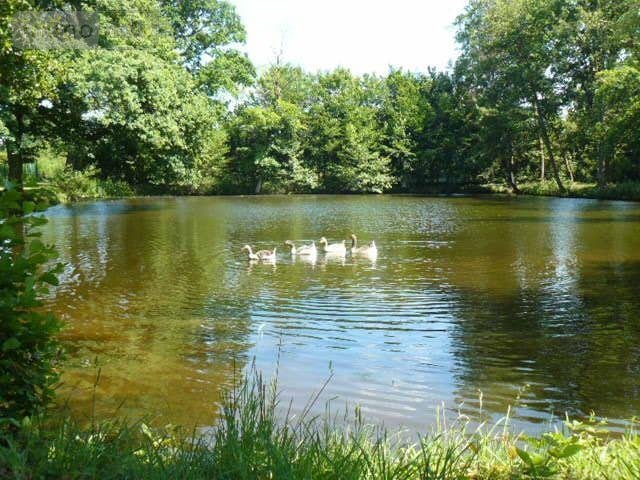 propriete a vendre Jeanménil 88700 Vosges 580 m2 16 pièces 1248000 euros