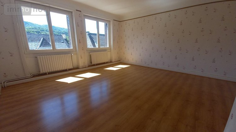 Maison a vendre Vic-sur-Cère 15800 Cantal 286 m2  268800 euros