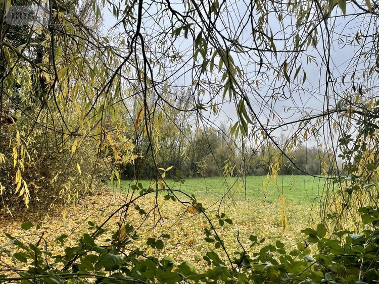 Maison a vendre Bailleul 59270 Nord 103 m2 3 pièces 341250 euros