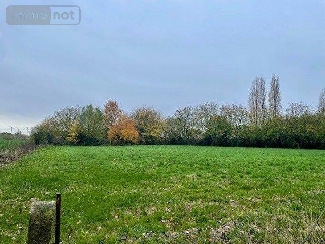 Maison a vendre Bailleul 59270 Nord 103 m2 3 pièces 341250 euros