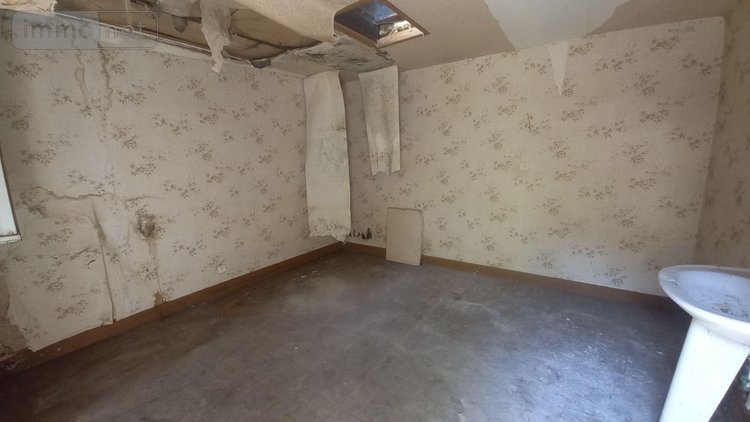 Maison a vendre Vic-sur-Cère 15800 Cantal 180 m2 11 pièces 33000 euros