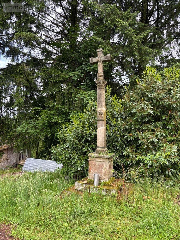 propriete a vendre Le Val-d'Ajol 88340 Vosges 180 m2 10 pièces 149900 euros