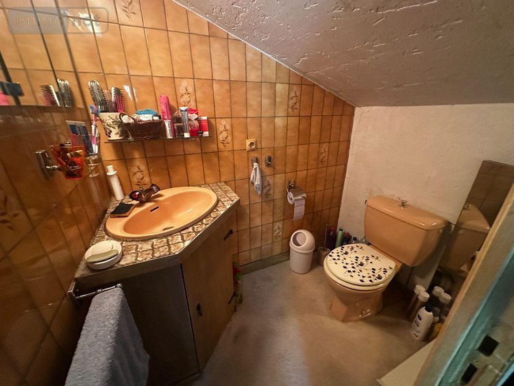 Viager maison Villevallier 89330 Yonne 113 m2 4 pièces 45000 euros