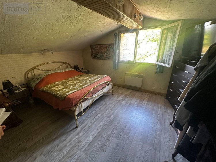 Viager maison Villevallier 89330 Yonne 113 m2 4 pièces 45000 euros