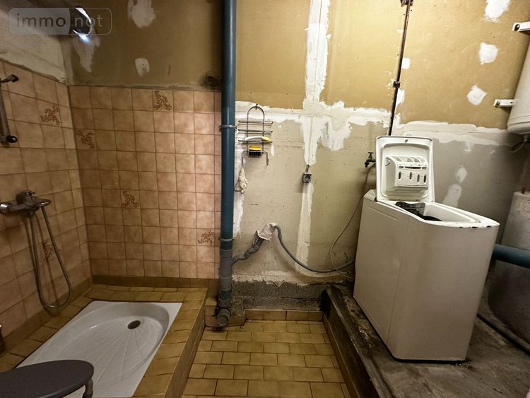 Viager maison Villevallier 89330 Yonne 113 m2 4 pièces 45000 euros