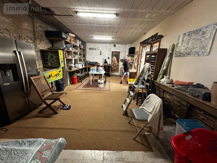 Viager maison Villevallier 89330 Yonne 113 m2 4 pièces 45000 euros