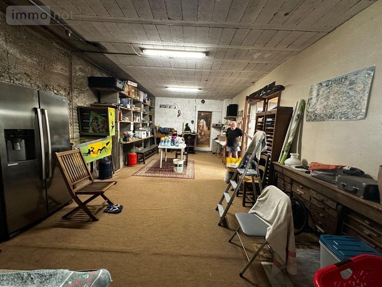 Viager maison Villevallier 89330 Yonne 113 m2 4 pièces 45000 euros