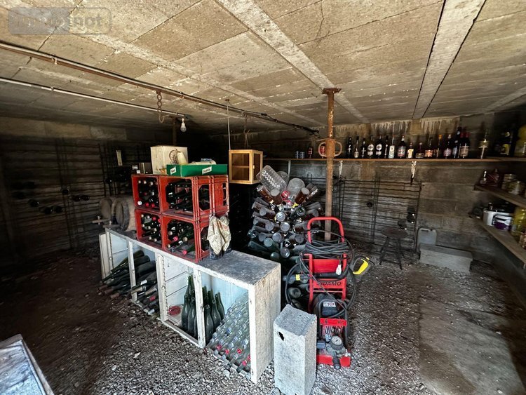 Viager maison Villevallier 89330 Yonne 113 m2 4 pièces 45000 euros