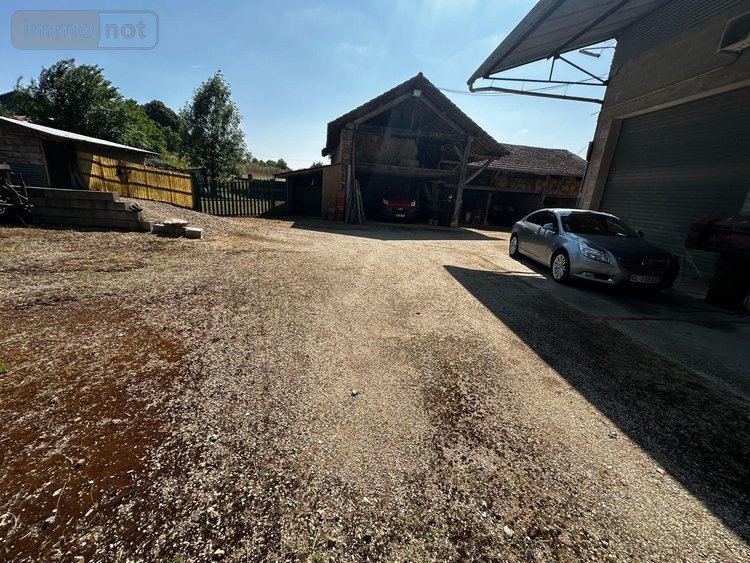 Viager maison Villevallier 89330 Yonne 113 m2 4 pièces 45000 euros