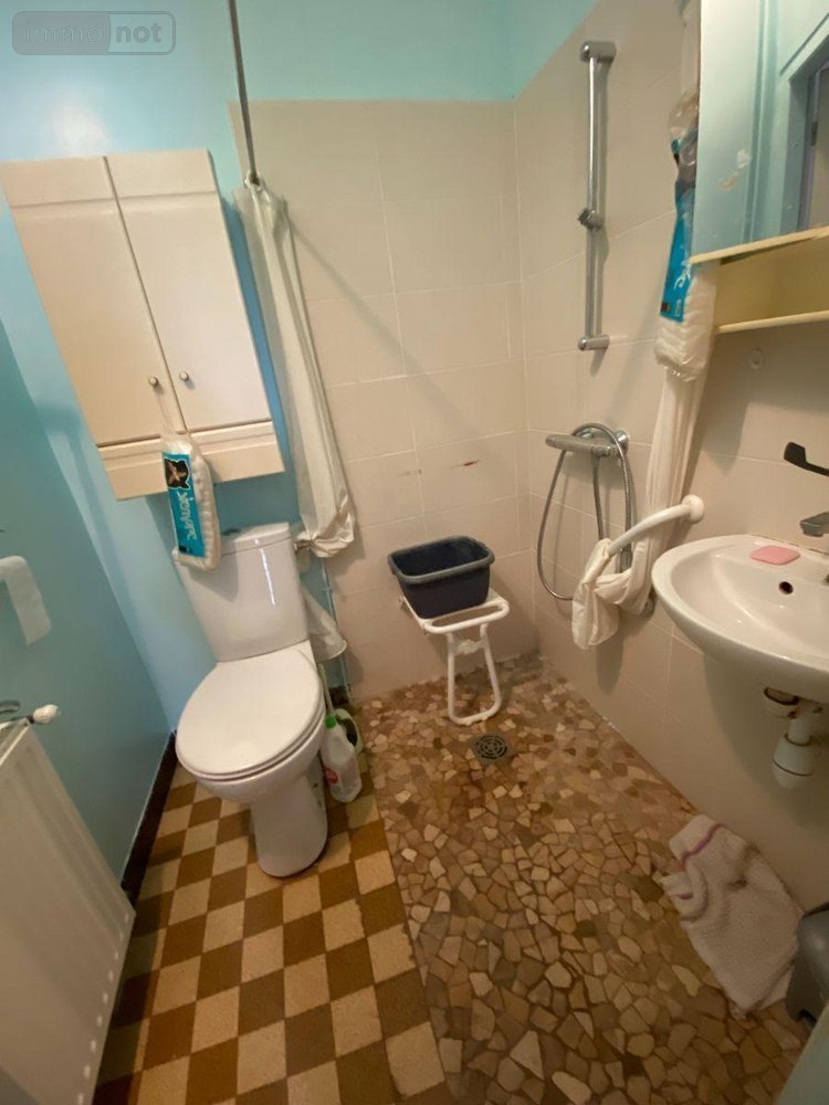 Maison a vendre Châtillon-sur-Indre 36700 Indre 58 m2 2 pièces 69900 euros