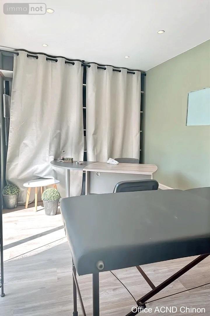 Maison a vendre Avoine 37420 Indre-et-Loire 250 m2 6 pièces 469900 euros