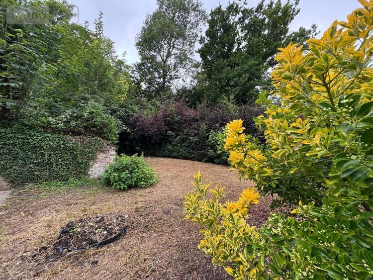 Maison a vendre Wormhout 59470 Nord 128 m2 5 pièces 188400 euros