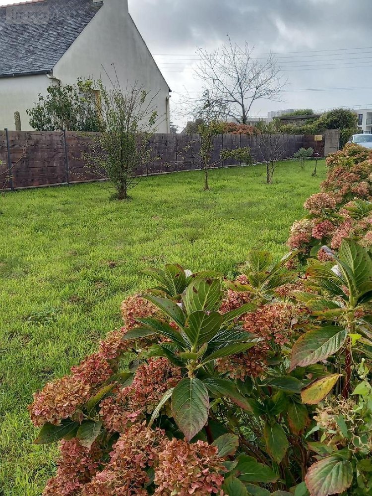 Viager maison Crozon 29160 Finistère 63 m2 3 pièces 100000 euros