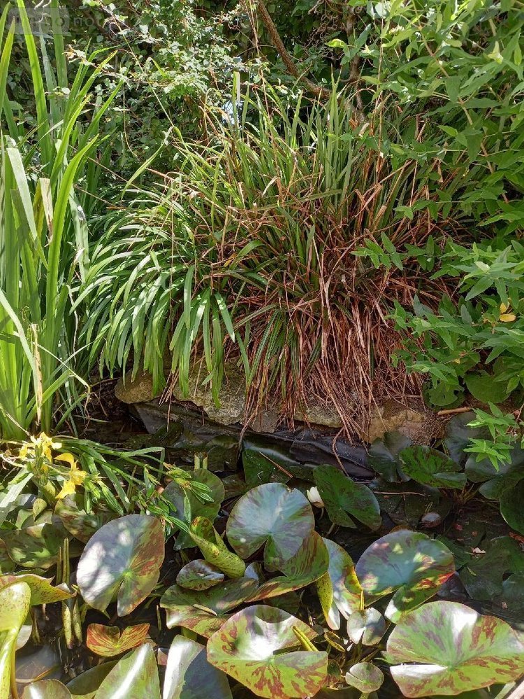 Maison a vendre Camaret-sur-Mer 29570 Finistère 81 m2 5 pièces 221340 euros