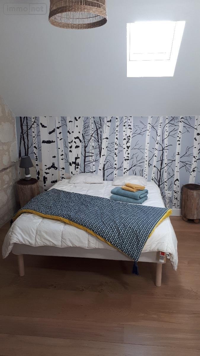 Fonds et murs commerciaux a vendre Saint-Benoît-la-Forêt 37500 Indre-et-Loire 361 m2  752800 euros