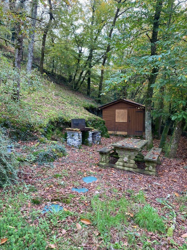 Maison a vendre Saint-Plantaire 36190 Indre 35 m2 2 pièces 96600 euros