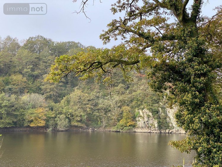 Maison a vendre Saint-Plantaire 36190 Indre 35 m2 2 pièces 96600 euros