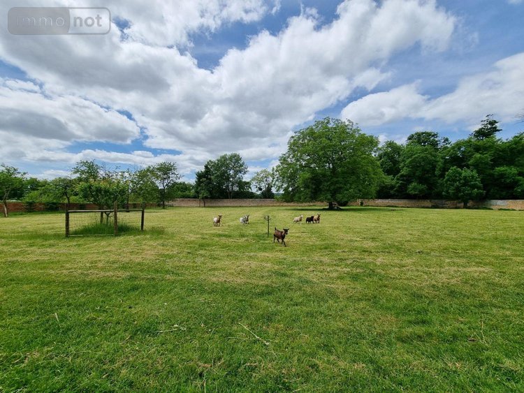 propriete a vendre Marcigny 71110 Saône-et-Loire 276 m2 10 pièces 572000 euros