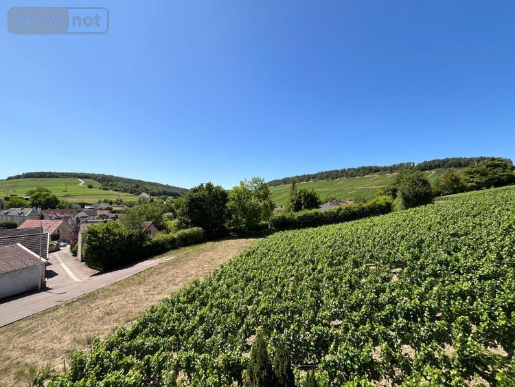 Maison a vendre Balnot-sur-Laignes 10110 Aube 87 m2 4 pièces 98220 euros