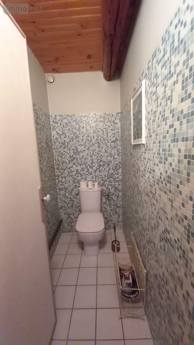 propriete a vendre Paulhac 15430 Cantal 300 m2  530000 euros