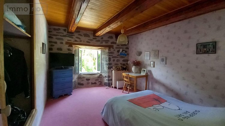 propriete a vendre Paulhac 15430 Cantal 300 m2  530000 euros
