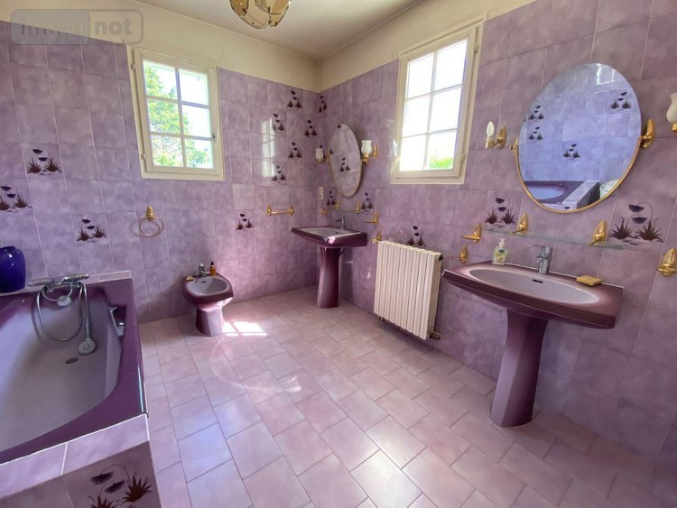 Maison a vendre Buzançais 36500 Indre 165 m2 6 pièces 276800 euros