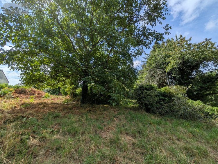 Maison a vendre Le Trévoux 29380 Finistère 65 m2  187560 euros