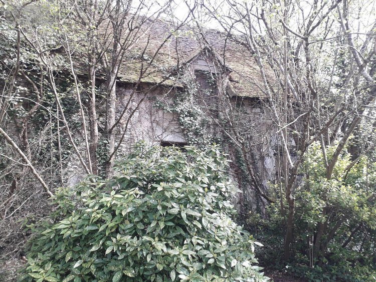 Maison a vendre Méhers 41140 Loir-et-Cher 60 m2 3 pièces 49500 euros