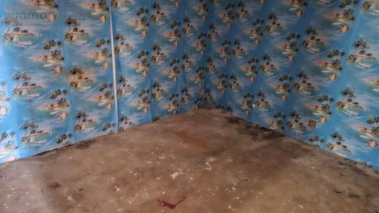 Maison a vendre Cérans-Foulletourte 72330 Sarthe 70 m2 2 pièces 116000 euros