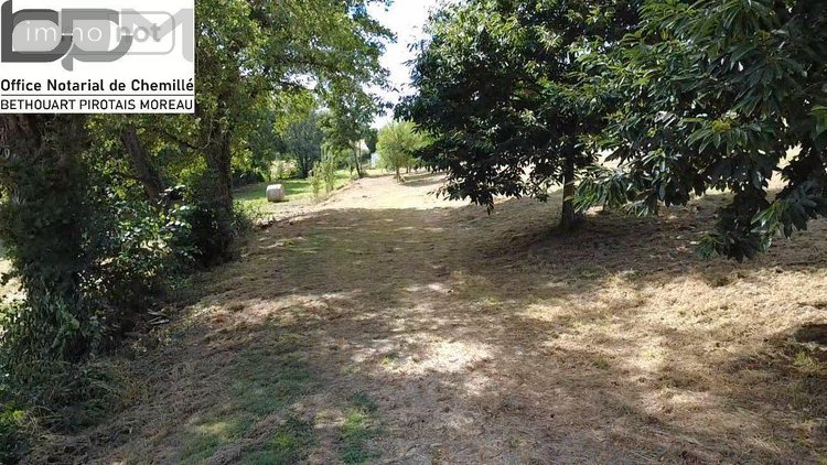 Maison a vendre Chemillé-en-Anjou 49120 Maine-et-Loire 241 m2 6 pièces 569250 euros