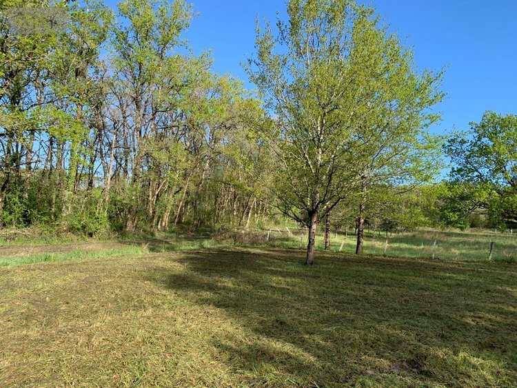 Terrains de loisirs bois etangs a vendre Mézières-en-Brenne 36290 Indre 11458 m2  27700 euros