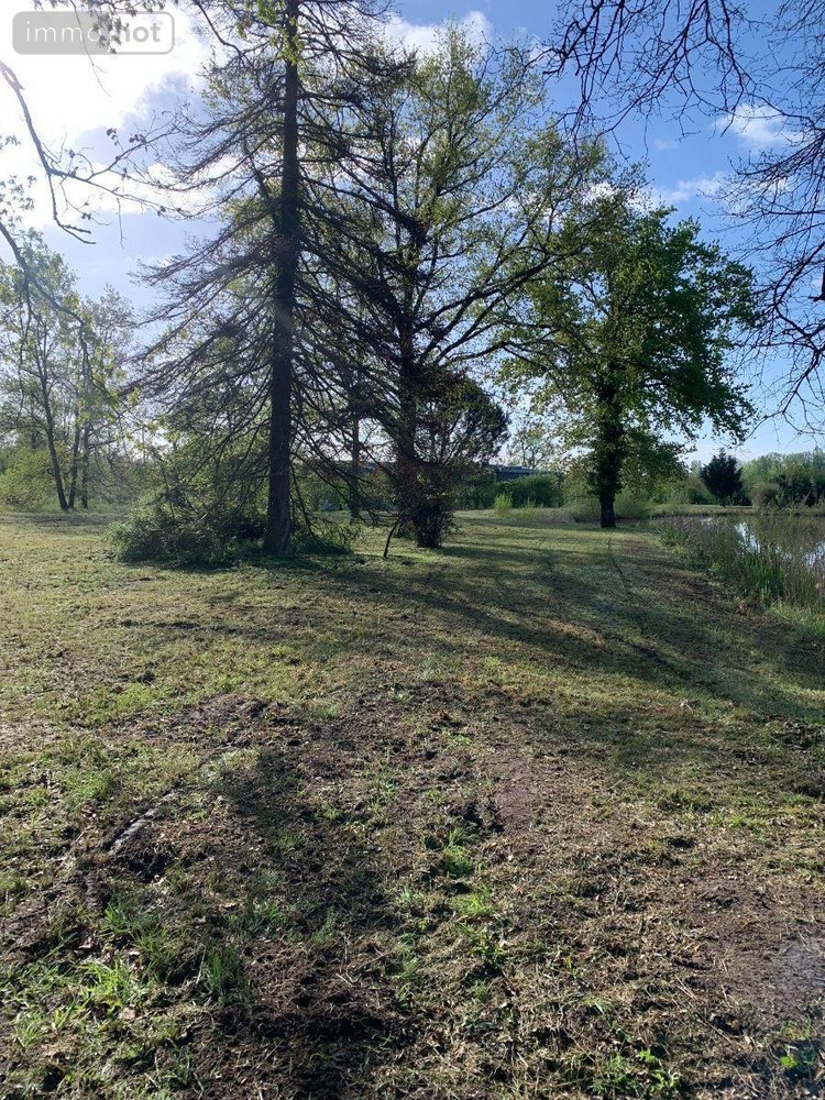 Terrains de loisirs bois etangs a vendre Mézières-en-Brenne 36290 Indre 11458 m2  27700 euros