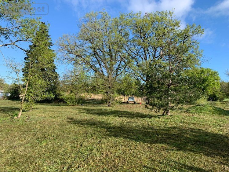 Terrains de loisirs bois etangs a vendre Mézières-en-Brenne 36290 Indre 11458 m2  27700 euros