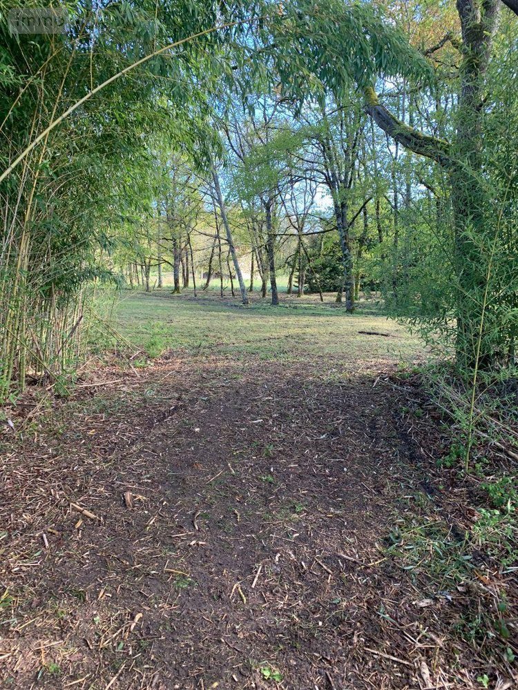 Terrains de loisirs bois etangs a vendre Mézières-en-Brenne 36290 Indre 11458 m2  27700 euros