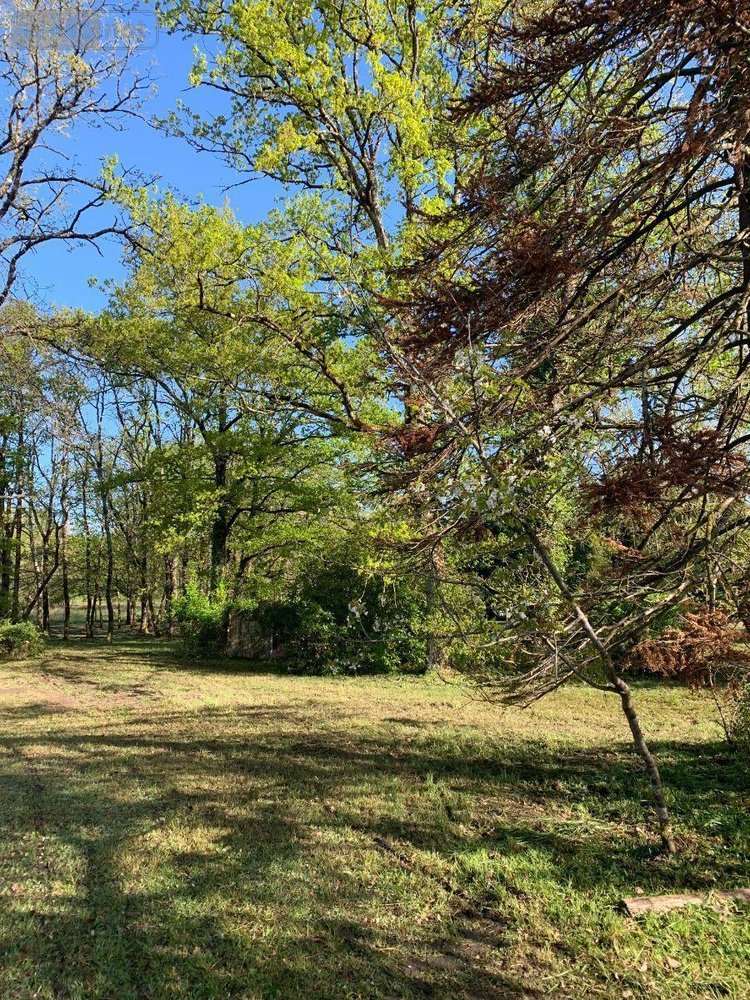 Terrains de loisirs bois etangs a vendre Mézières-en-Brenne 36290 Indre 11458 m2  27700 euros
