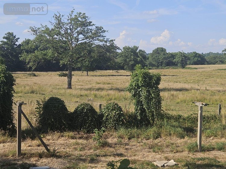 Viager maison Vaulry 87140 Haute-Vienne 107 m2 4 pièces 48800 euros